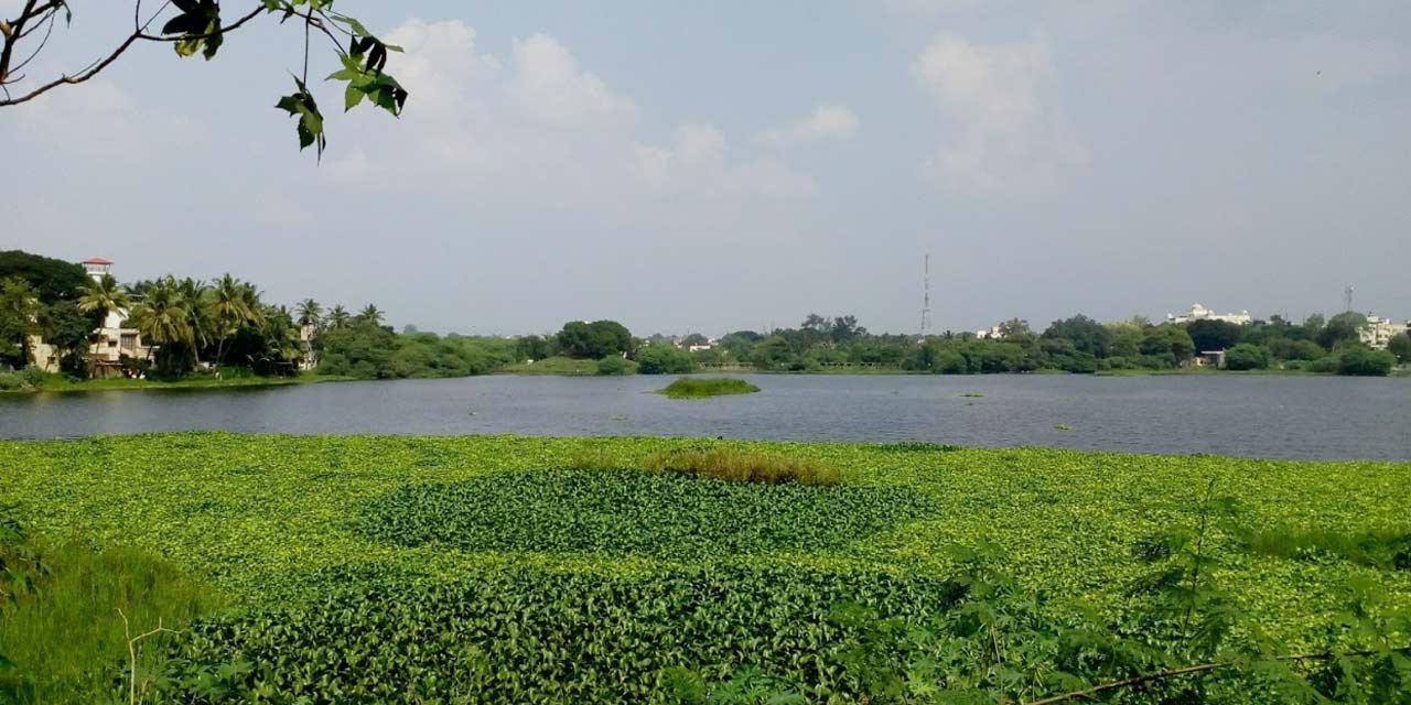 Salim Ali Lake, Aurangabad