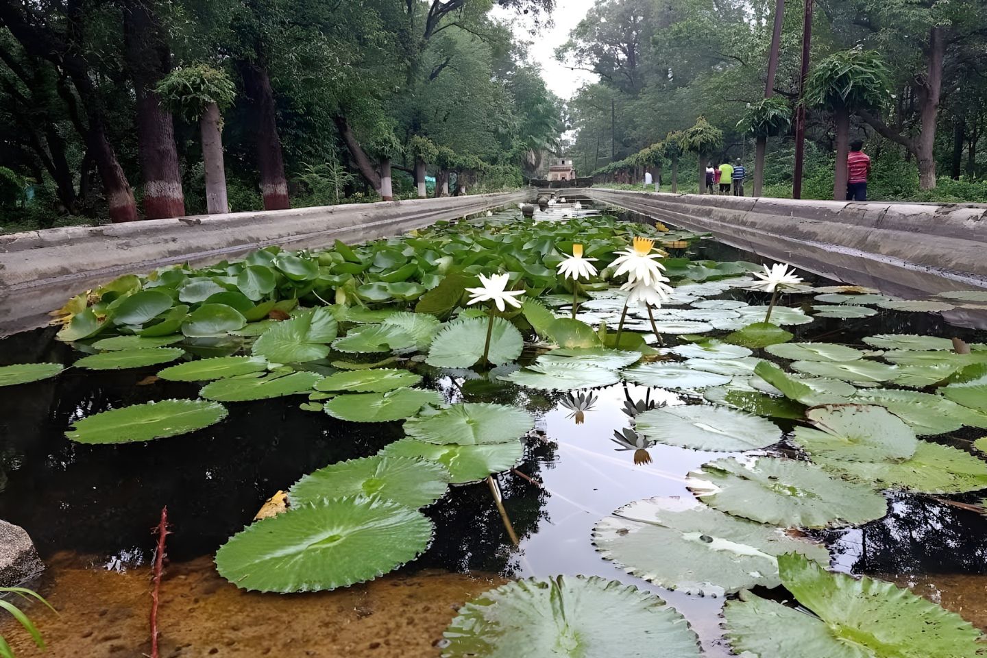 Himayat Baugh Aurangabad